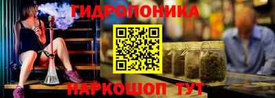 трава Камышлов